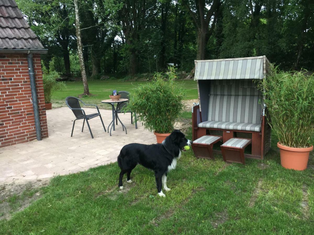 Huck'S Ferienhaeuser Borstel  Bagian luar foto