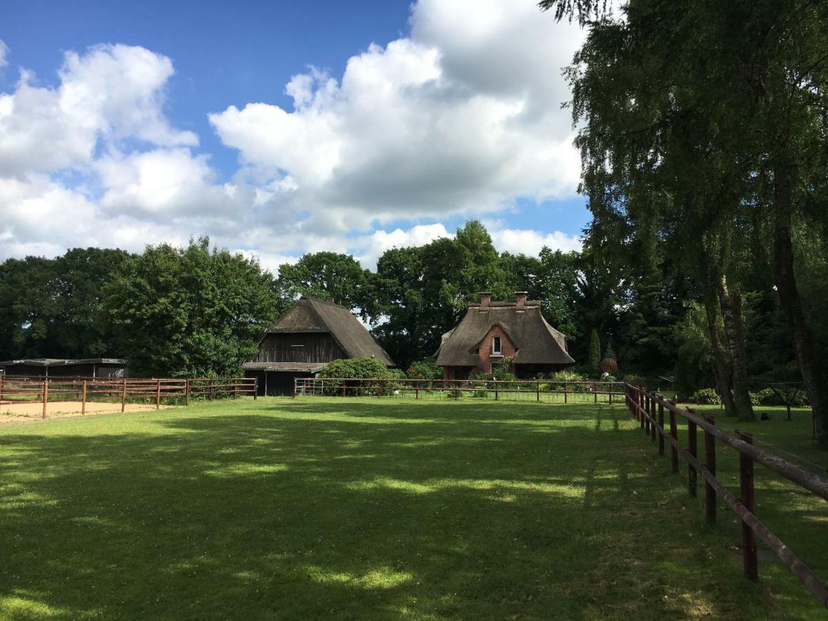 Huck'S Ferienhaeuser Borstel  Bagian luar foto
