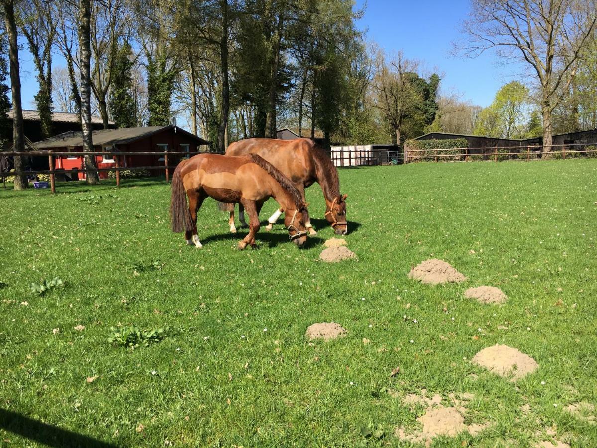 Huck'S Ferienhaeuser Borstel  Bagian luar foto